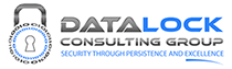DataLock Consulting Group Logo
